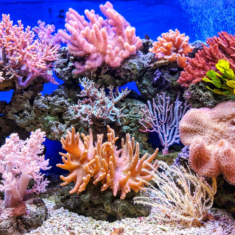 微量元素液